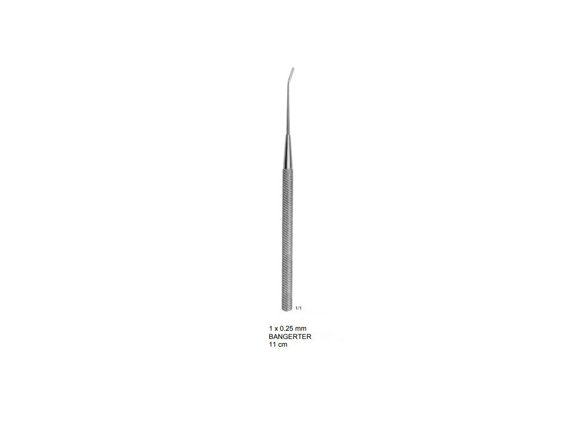 BANGERTER İRİS SPATULA 1X0.25MM 11CM