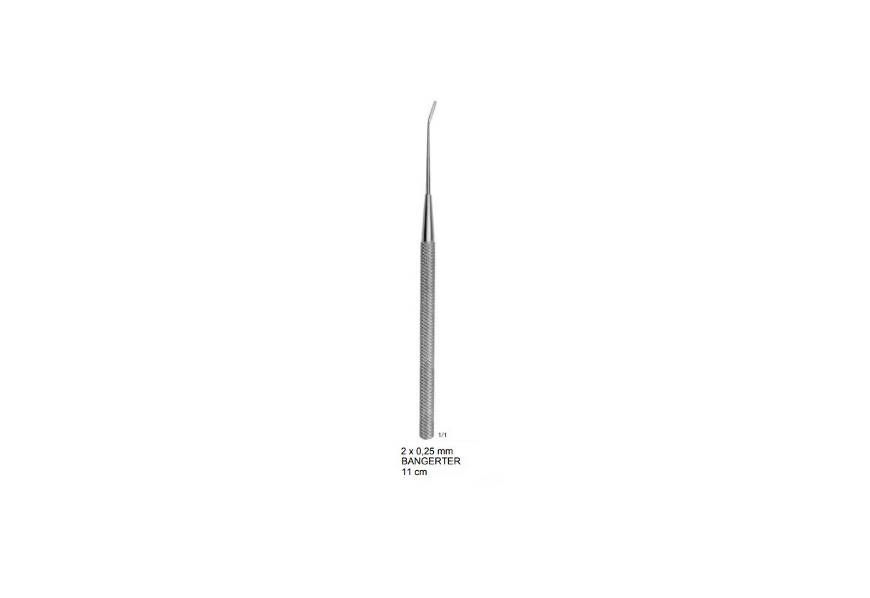 BANGERTER İRİS SPATULA 2X0.25MM 11CM