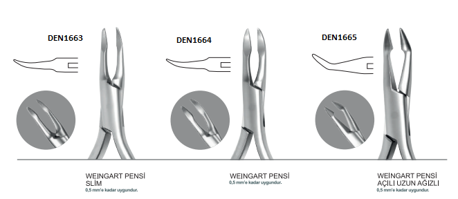 ORTODONTİ WEINGART PENSİ 