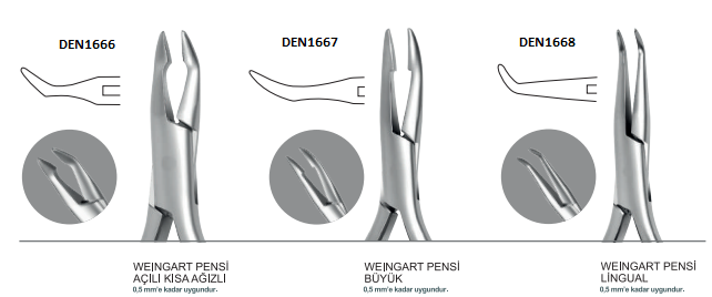 ORTODONTİ WEINGART PENSİ BÜYÜK 